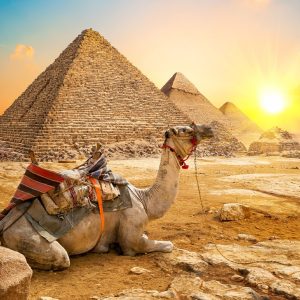 Trip to Egypt: Pyramids & Nile by Air