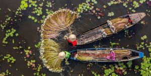 Read more about the article Christmas in Thailand