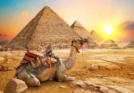 347475256_Pyramids of Giza