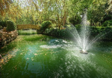 442720679_Maria Luisa Park - Seville 2